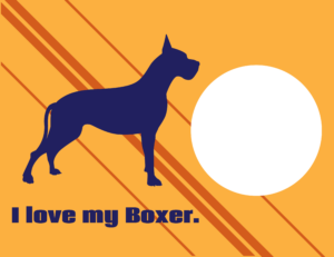 dog_breed_boxer1_BKGD-min