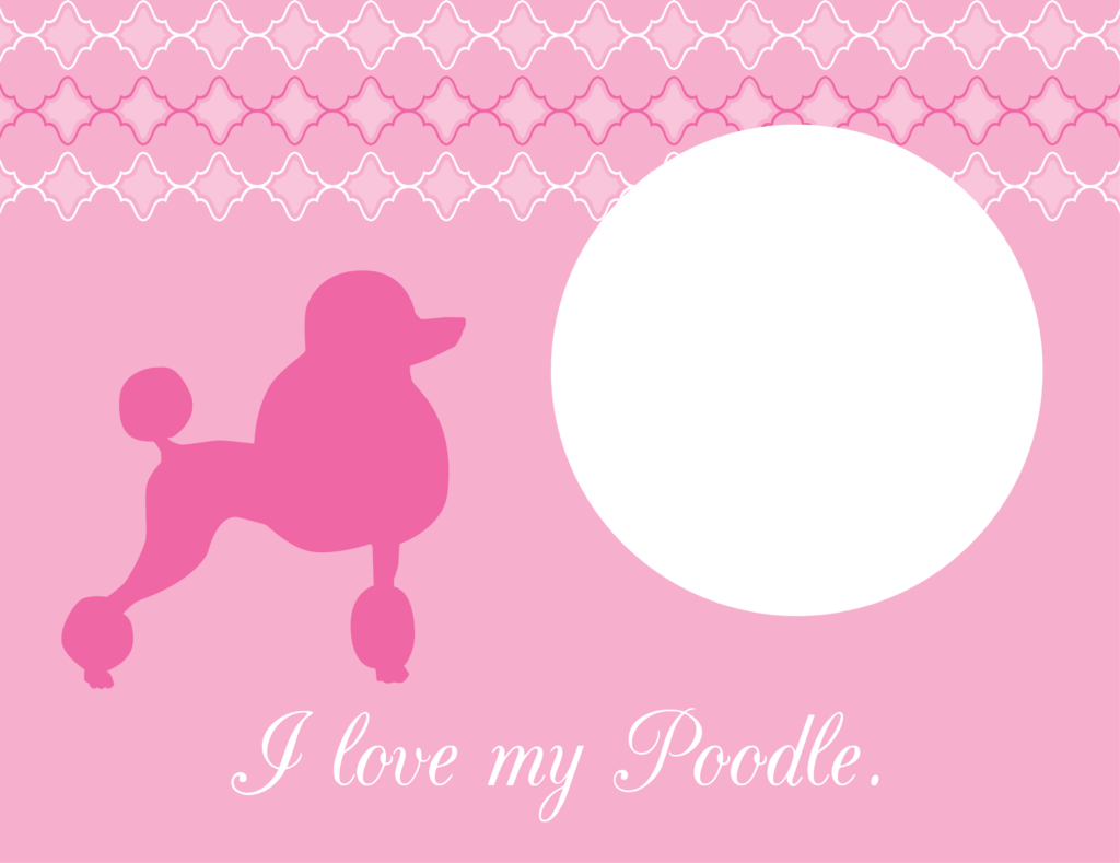 dog_breed_poodle1_BKGD-min 